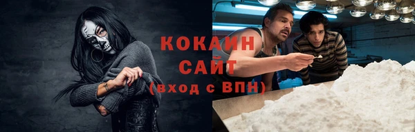 спиды Бикин