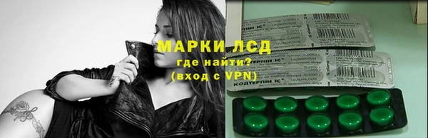 спиды Бикин